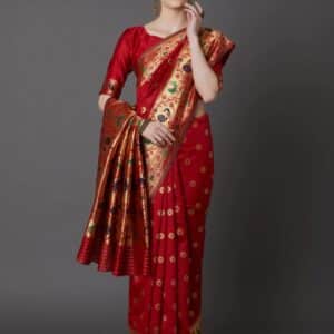 Heritage Touch Luxury Saree for Special Occasions